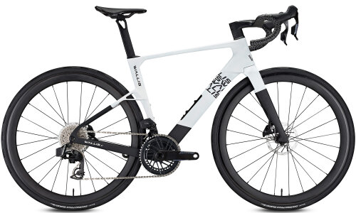 Wallis Carbon Project-R