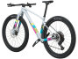 Scott Scale Gravel 10 dorado grey